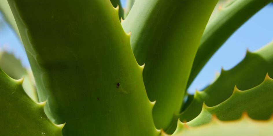 pexels-photo-6156444