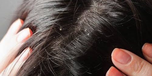 B36EFD47-402C-49B0-893F-820833EC1F15